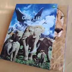 柴りん様 リクエスト 2点 まとめ商品