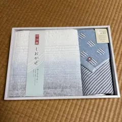 今治タオルセット(バスタオル・バンドタオル)