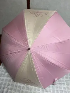 Item thumbnail for item 010d9a5a-d6dd-4dd1-9623-03a8e524cde3