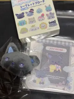 JOCHUM ピーハイ　ブローチ　硬質ケース