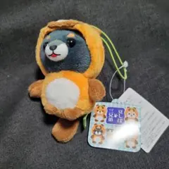 豆しば三兄弟　ぽてぐるみタヌキ