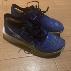 ヴェイパーフライ3 陸上競技