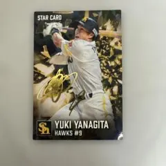 柳田悠岐