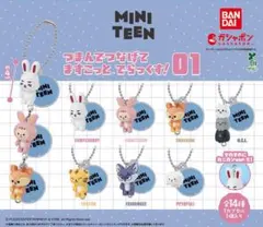 MINITEEN つまんでつなげてますこっとでらっくす！02コンプリート