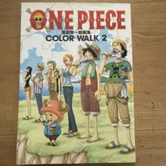 ONE PIECE COLOR WALK 2