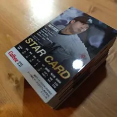 プロ野球チップス　カード　2025まとめ売り 113枚