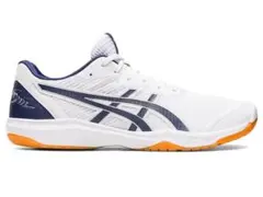 ローテジャパン紺色