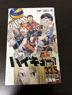 ハイキュー!! 33.5 音駒番外編!!