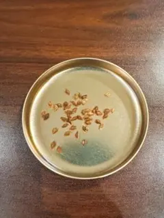 国産 砂金 自然金 ネイティブ ゴールド 天然 鉱石 鉱物 - メルカリ