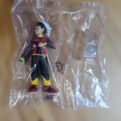 2026年最新】ポケモンスケールワールド ホウエン地方の人気アイテム