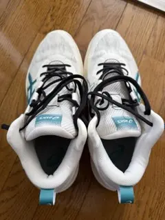 asicsゲルフープV17箱あり