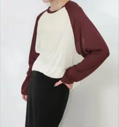 【新品タグ付】SELECT　MOCA　シアーラグランロングスリーブTシャツのサムネイル