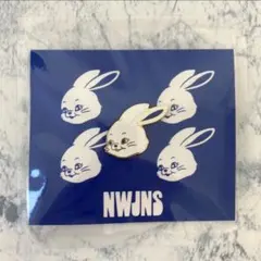 ニュージーンズ　newjeans トッキ bunnies まとめ売り Newjeans キーリング トッキ TOKKI