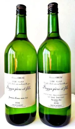 2026年最新】ソガペール ヌメロシスの人気アイテム - メルカリ