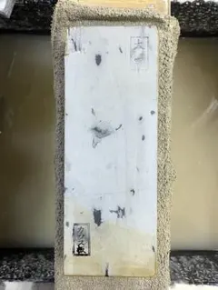 Item thumbnail for item 62be5332-7d6d-4cda-b912-f9a2af6aaed0