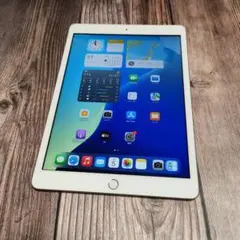 iPad 第7世代 128GB SIMフリー シルバー バッテリー96%