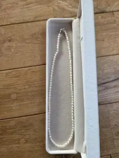 Item thumbnail for item e2791da8-16ff-40d6-b091-cda01c2ad4e4