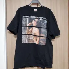 Item thumbnail for item e8f70723-e742-4cf1-9144-69c37ab8f069