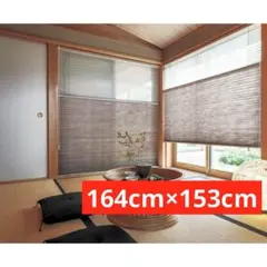 Item thumbnail for item 2176ac8f-f8aa-4873-9e06-c94f5262b195