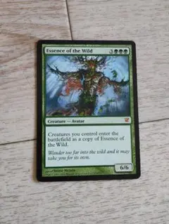 ★荒れ野の本質 英語1枚