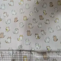 Item thumbnail for item 5a00f4e0-9d2c-4ad0-b4f4-6311d0e31b1e