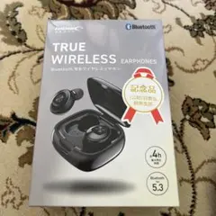 TRUE WIRELESS EARPHONES Bluetooth 5.3