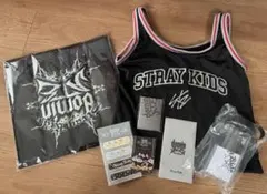 StrayKids dominant アプグレグッズ 抜けなし