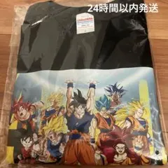 Item thumbnail for item f1ed5895-8e8e-4002-87d0-b1eeda0e4763