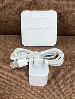Apple 순정 5W 어댑터 & lightning 케이블