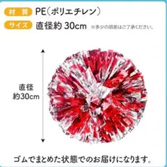 Item thumbnail for item b113f6b4-0cb6-4a26-8aa1-a85a252de40a