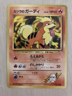 カツラのガーディ ポケモンジム第3弾 グレンタウンジム カツラ