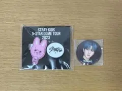 Stray Kids スキズ SKZOO FCくじ 缶バッジ チャンビン