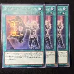 遊戯王OCG シャークキャノン＆ブラックパラディン　2枚セット Amazon.co.jp: 遊戯王カード 15AX-JPY38 超魔導剣士 