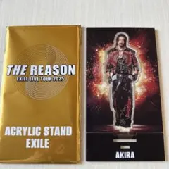 THE REASON AKIRA アクスタ