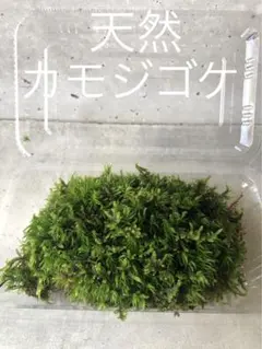 ぽんず様 リクエスト 2点 まとめ商品