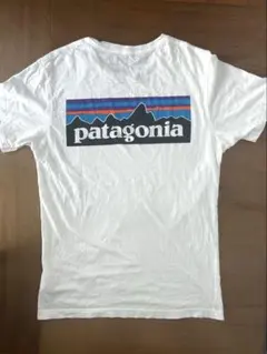 patagonia パタゴニア P-6ロゴ・レスポンシビリティー Tシャツ　Ｓ