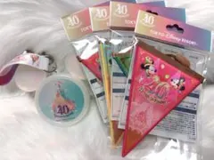 ディズニーランド　40周年 スナックケース　ガーランドのサムネイル