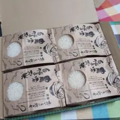 【ギフト】新潟産 従来コシヒカリ　令和７年産　2合(300g) × 4袋のサムネイル