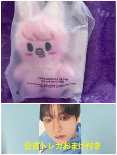 Stray Kids SKZOO 10CM ぬいぐるみ トェッキ　チャンビン