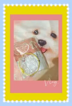 【WANKONO Time Capsule ラテ】