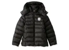 CELFORD　中綿ブルゾン