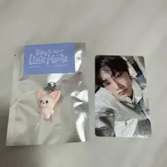 stray kids ペンミ SKZOO ミニチャーム アイエン フォクシニー