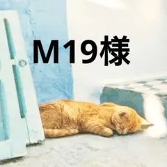 M19様 リクエスト 3点 まとめ商品