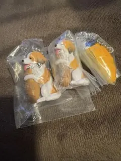 いぬぱんリターンズ2