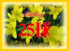 (*^o^*)★黄色のゼフィランサスシトリナ25球680円Y79のサムネイル