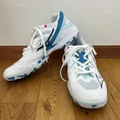 Item thumbnail for item ef3ce0cc-3f3c-42f2-87f6-9628948e3b0e