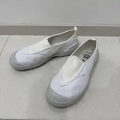 19cm ムーンスター バイオ 上履き キッズ ジュニア moonstar