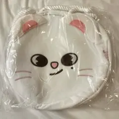 2025年最新】スキズ バッグの人気アイテム - メルカリ