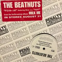 THE BEATNUTS FIND US feat Akon