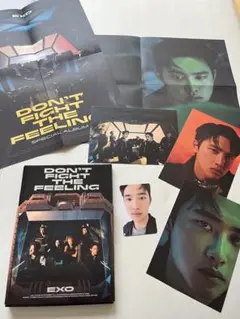 EXO DON'T FIGHT THE FEELING